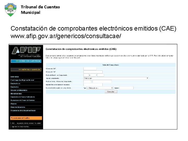 Tribunal de Cuentas Municipal Constatación de comprobantes electrónicos emitidos (CAE) www. afip. gov. ar/genericos/consultacae/