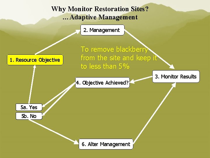 Why Monitor Restoration Sites? …Adaptive Management 2. Management 1. Resource Objective To remove blackberry