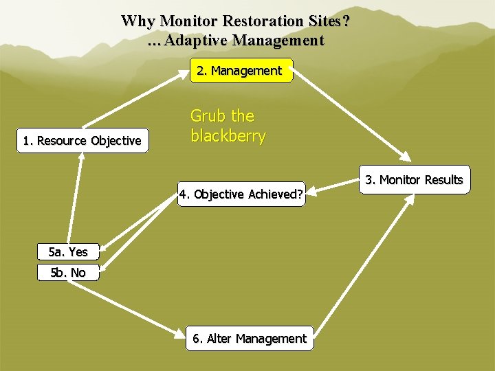 Why Monitor Restoration Sites? …Adaptive Management 2. Management 1. Resource Objective Grub the blackberry