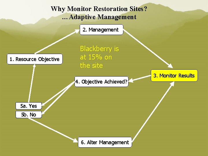 Why Monitor Restoration Sites? …Adaptive Management 2. Management 1. Resource Objective Blackberry is at