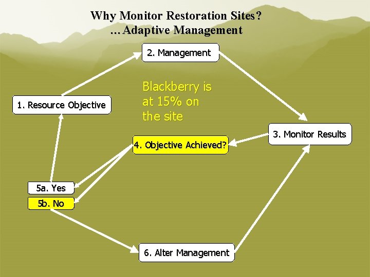 Why Monitor Restoration Sites? …Adaptive Management 2. Management 1. Resource Objective Blackberry is at