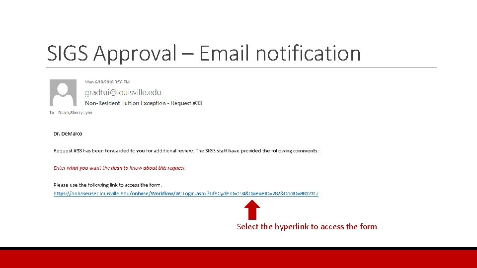 SIGS Approval – Email notification Select the hyperlink to access the form 