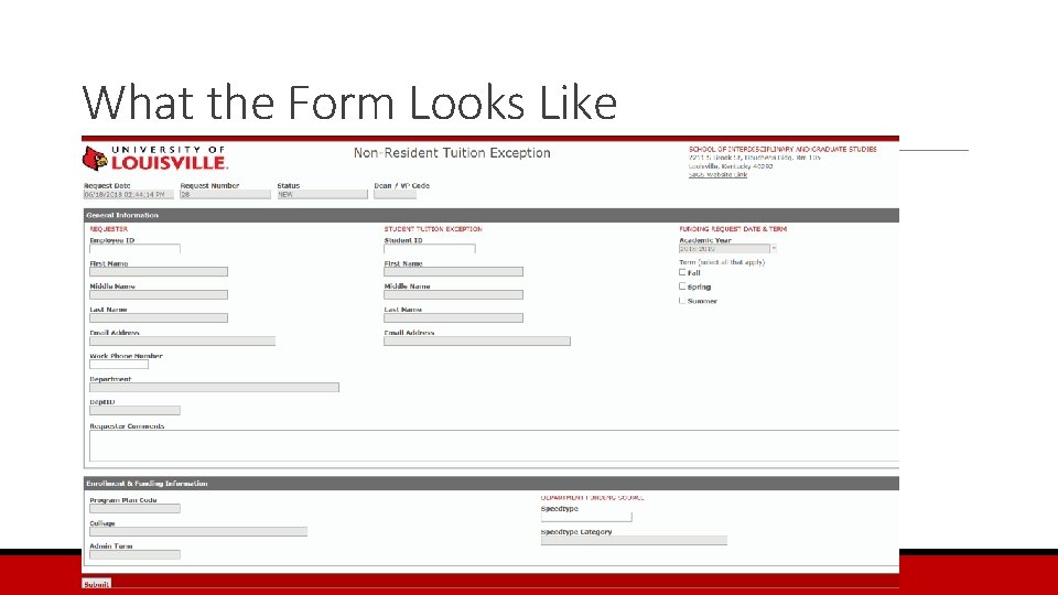 What the Form Looks Like 