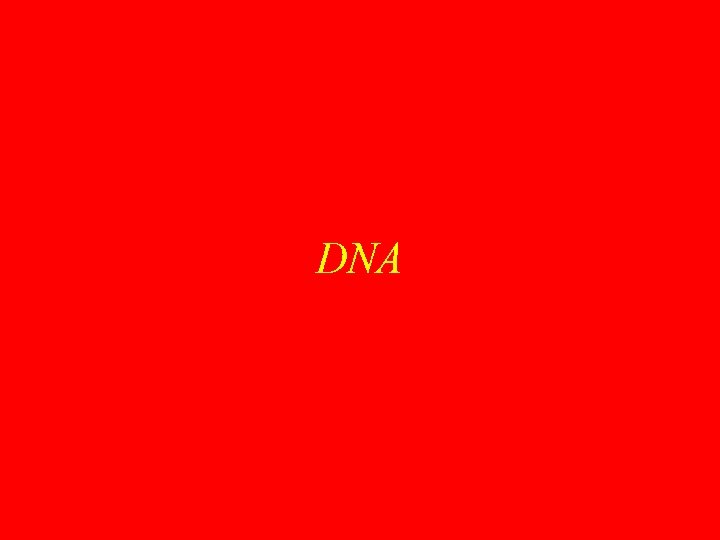 DNA 