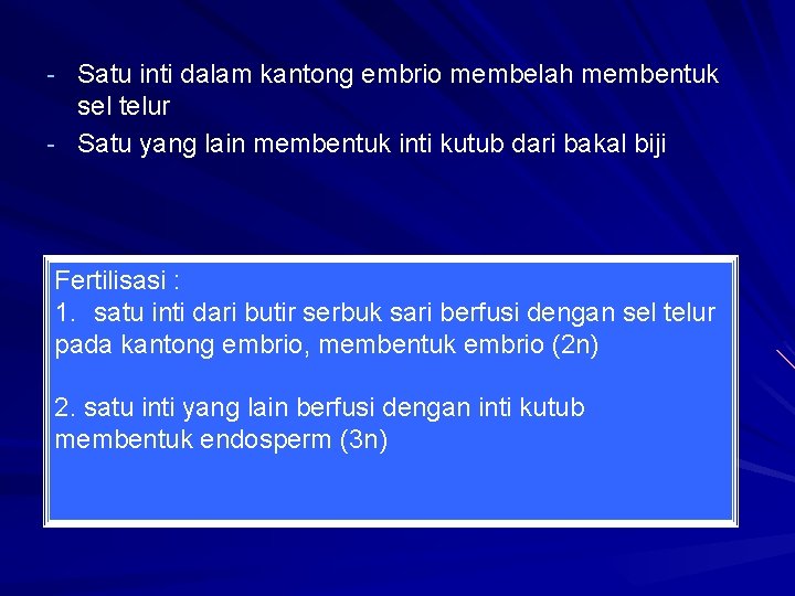 - Satu inti dalam kantong embrio membelah membentuk sel telur - Satu yang lain