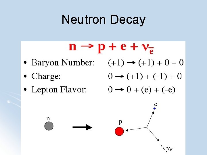 Neutron Decay 