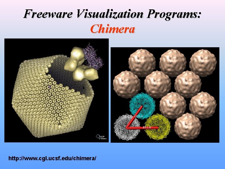 Freeware Visualization Programs: Chimera http: //www. cgl. ucsf. edu/chimera/ 