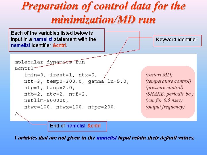 Preparation of control data for the minimization/MD run Each of the variables listed below