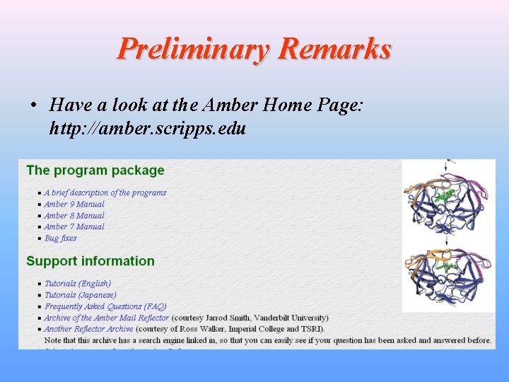 Preliminary Remarks • Have a look at the Amber Home Page: http: //amber. scripps.