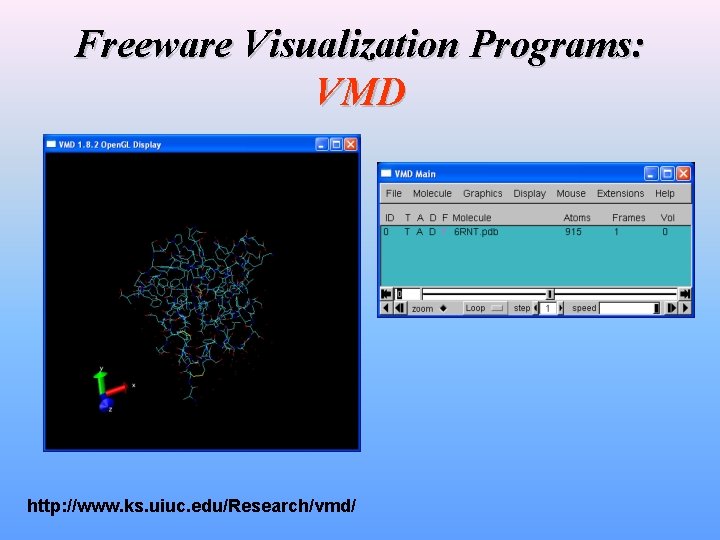 Freeware Visualization Programs: VMD http: //www. ks. uiuc. edu/Research/vmd/ 