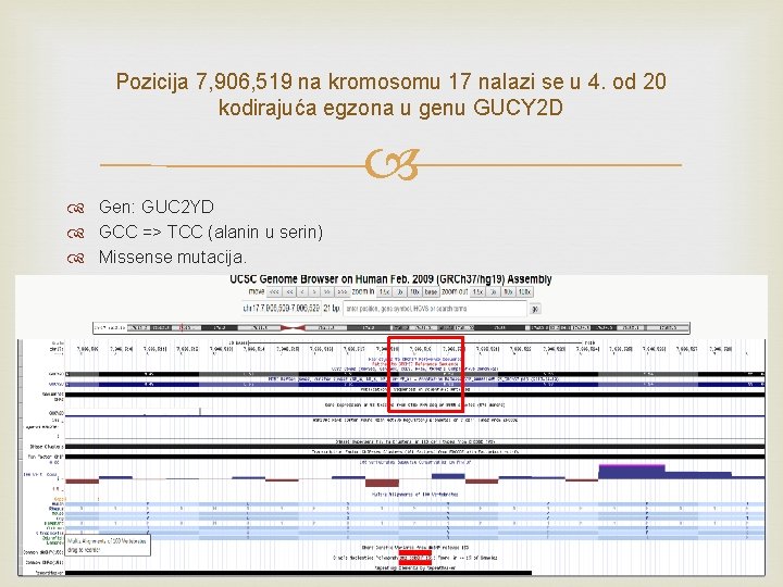 Pozicija 7, 906, 519 na kromosomu 17 nalazi se u 4. od 20 kodirajuća