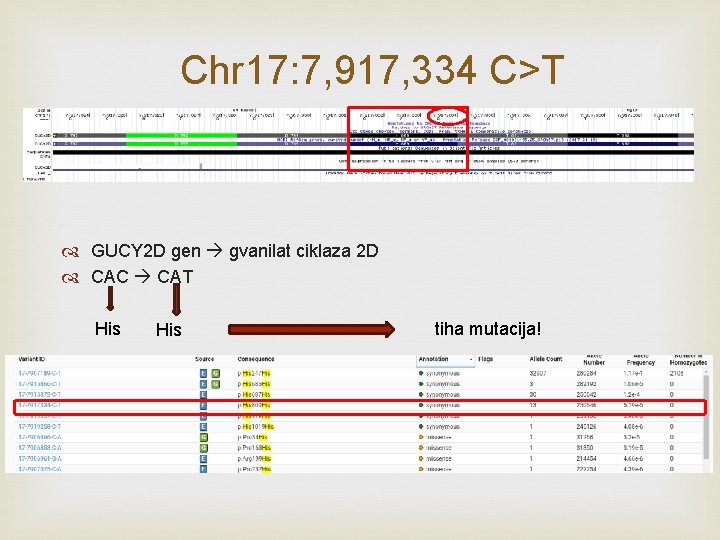  Chr 17: 7, 917, 334 C>T GUCY 2 D gen gvanilat ciklaza 2