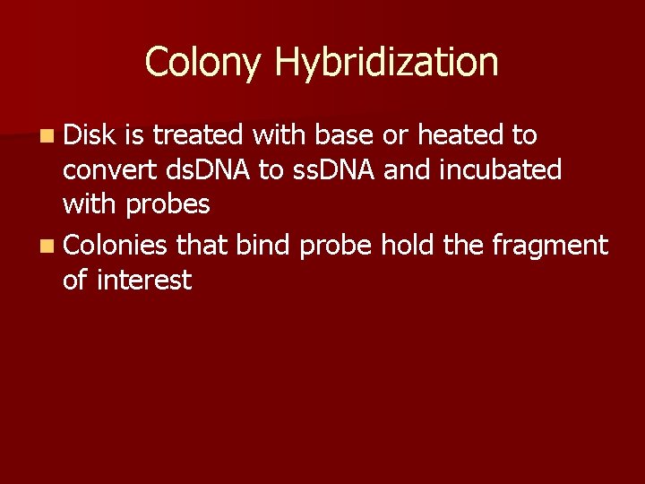 Colony Hybridization n Disk is treated with base or heated to convert ds. DNA