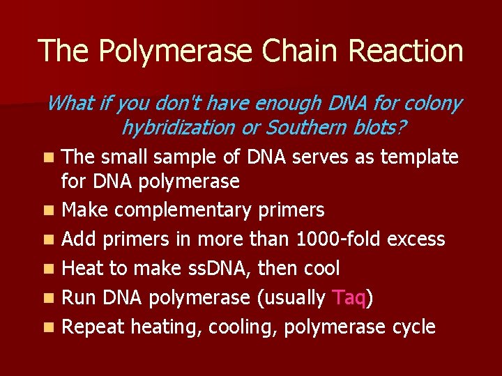 The Polymerase Chain Reaction What if you don't have enough DNA for colony hybridization