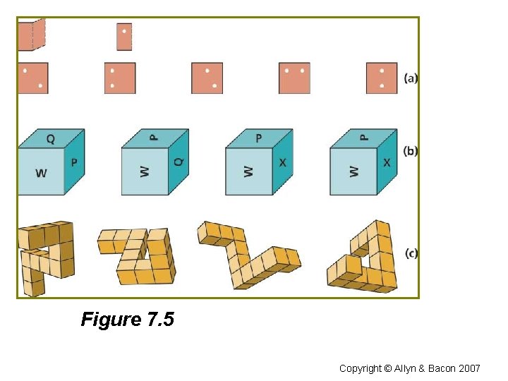 Figure 7. 5 Copyright © Allyn & Bacon 2007 