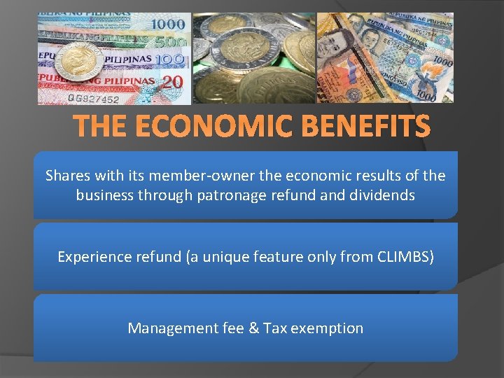 THE ECONOMIC BENEFITS Shares with its member-owner the economic results of the business through