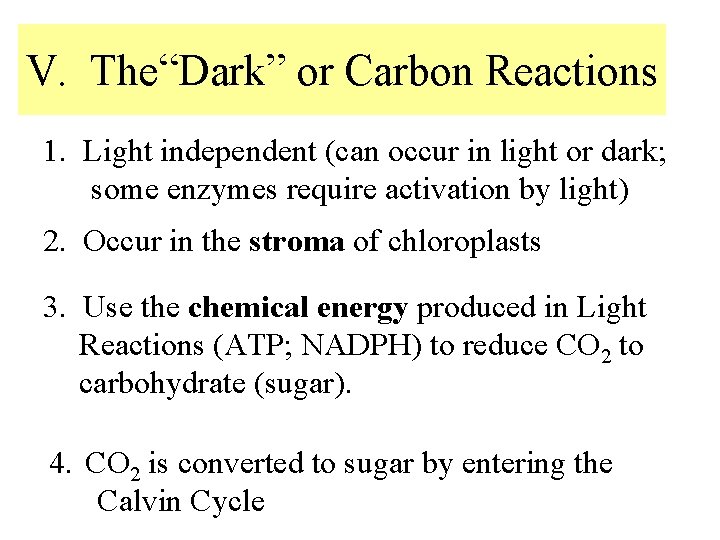 V. The“Dark” or Carbon Reactions 1. Light independent (can occur in light or dark;