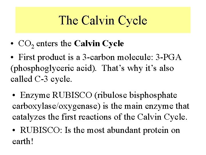 The Calvin Cycle • CO 2 enters the Calvin Cycle • First product is