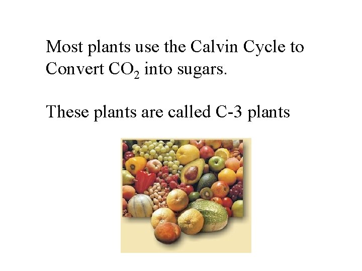 Most plants use the Calvin Cycle to Convert CO 2 into sugars. These plants