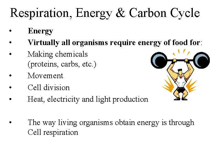 Respiration, Energy & Carbon Cycle • • Energy Virtually all organisms require energy of