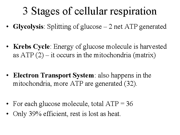 3 Stages of cellular respiration • Glycolysis: Splitting of glucose – 2 net ATP