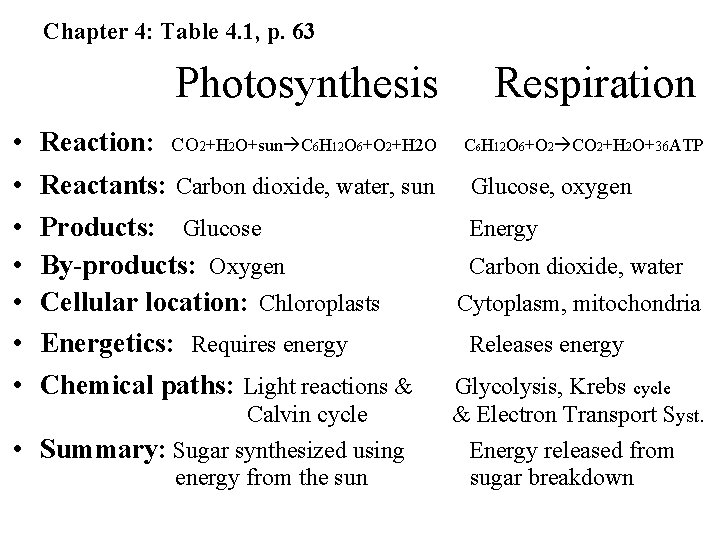 Chapter 4: Table 4. 1, p. 63 Photosynthesis • • Reaction: CO 2+H 2