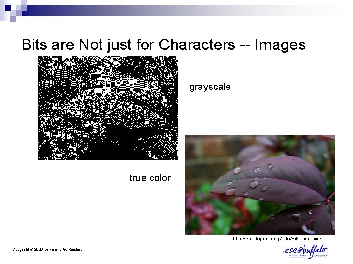 Bits are Not just for Characters -- Images grayscale true color http: //en. wikipedia.