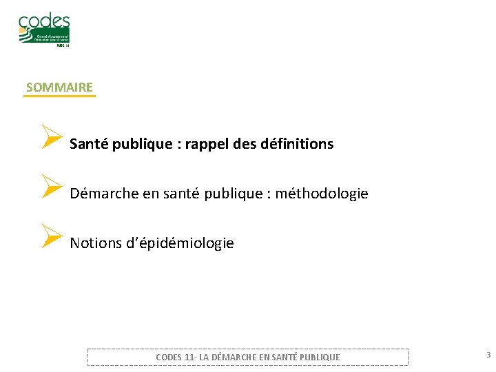 SOMMAIRE Ø Santé publique : rappel des définitions Ø Démarche en santé publique :