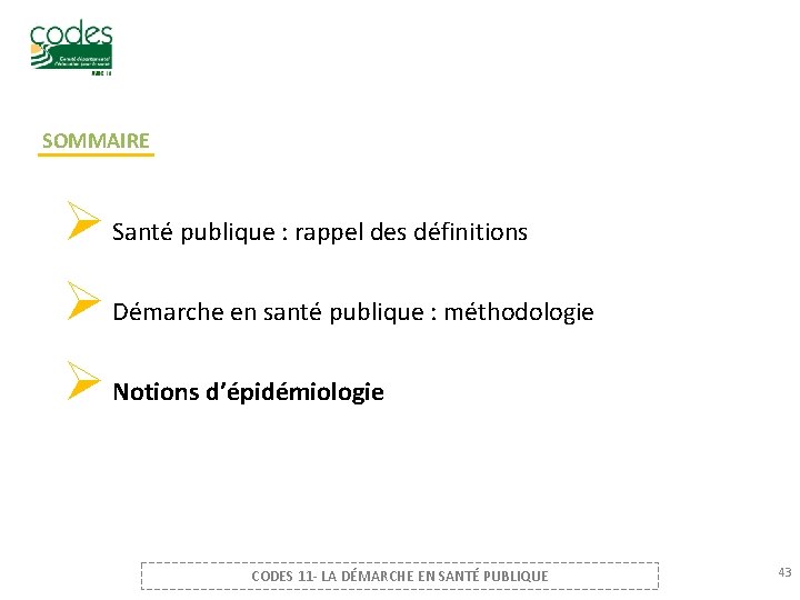 SOMMAIRE Ø Santé publique : rappel des définitions Ø Démarche en santé publique :