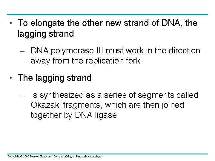  • To elongate the other new strand of DNA, the lagging strand –