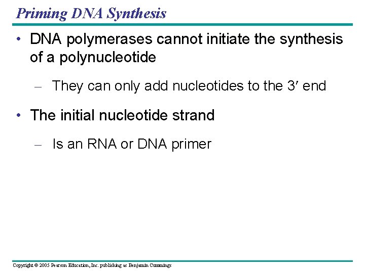 Priming DNA Synthesis • DNA polymerases cannot initiate the synthesis of a polynucleotide –