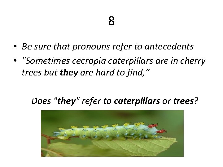 8 • Be sure that pronouns refer to antecedents • "Sometimes cecropia caterpillars are