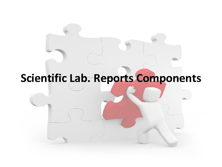 Scientific Lab. Reports Components 