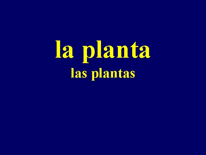 la planta las plantas 