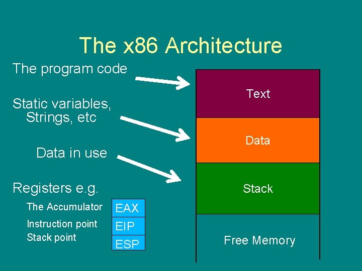 The x 86 Architecture The program code Text Static variables, Strings, etc Data in