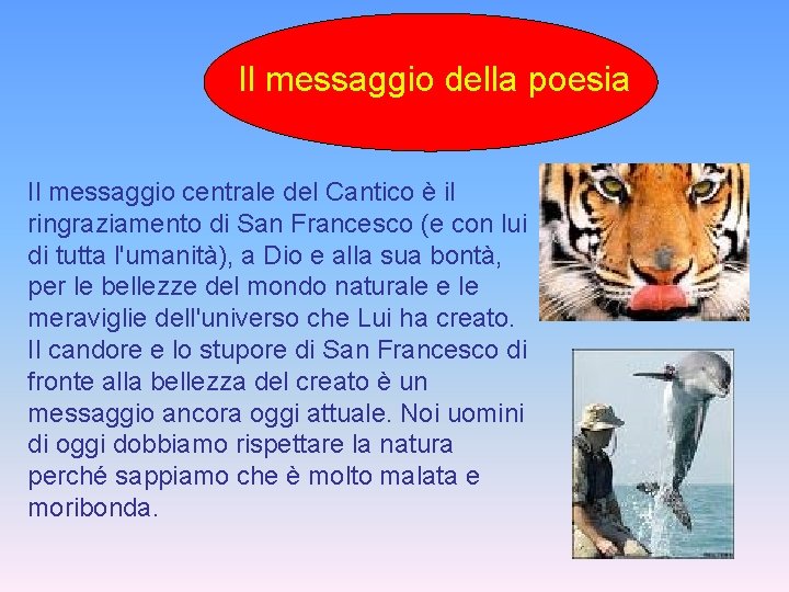 Il messaggio della poesia Il messaggio centrale del Cantico è il ringraziamento di San Il messaggio della poesia Il messaggio centrale del Cantico è il ringraziamento di San