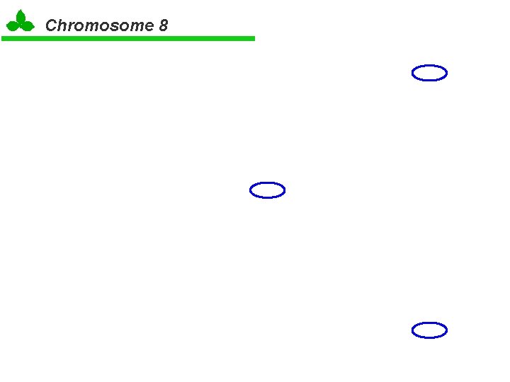 Chromosome 8 