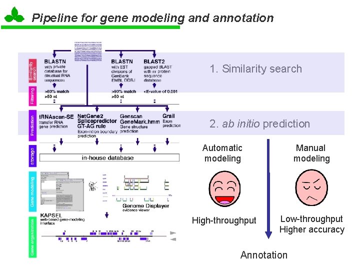 Pipeline for gene modeling and annotation 1. Similarity search 2. ab initio prediction Automatic