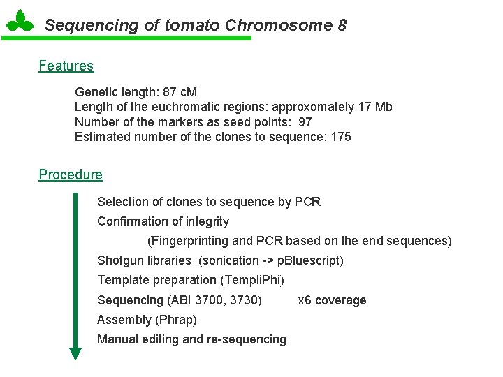 Sequencing of tomato Chromosome 8 Features Genetic length: 87 c. M Length of the