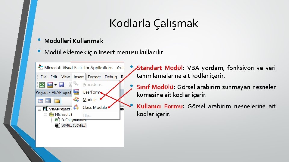 Kodlarla Çalışmak • • Modülleri Kullanmak Modül eklemek için Insert menusu kullanılır. • Standart