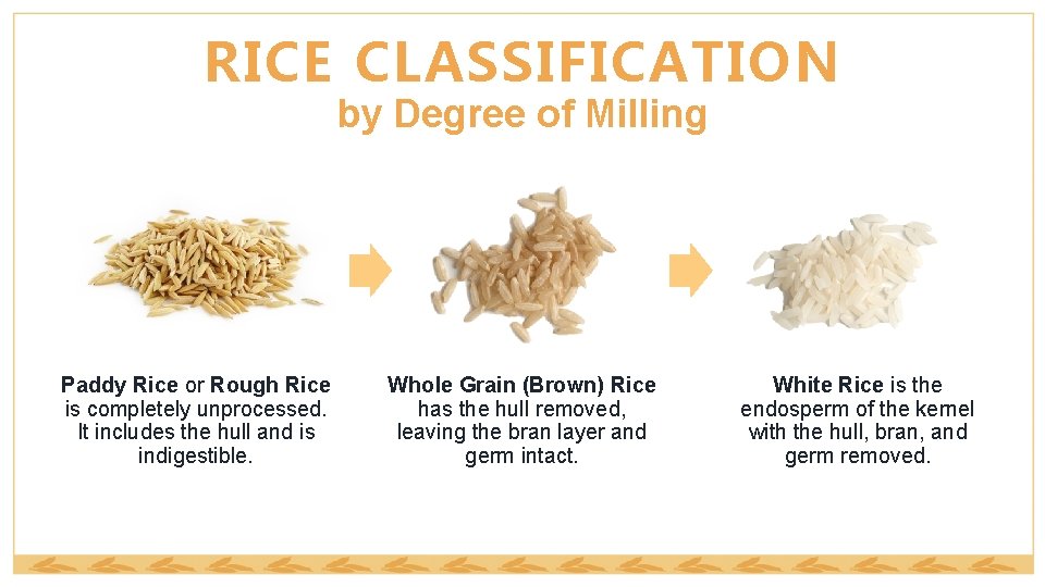 RICE CLASSIFICATION by Degree of Milling Paddy Rice or Rough Rice is completely unprocessed.