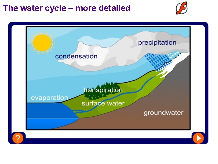 The water cycle – more detailed  The water cycle – more detailed
