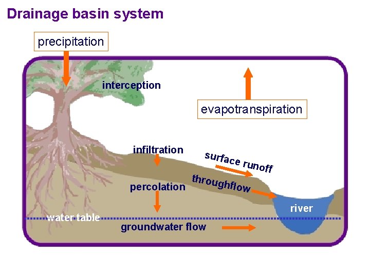 Drainage basin system precipitation interception evapotranspiration infiltration surfa ce ru throug hflow percolation water Drainage basin system precipitation interception evapotranspiration infiltration surfa ce ru throug hflow percolation water