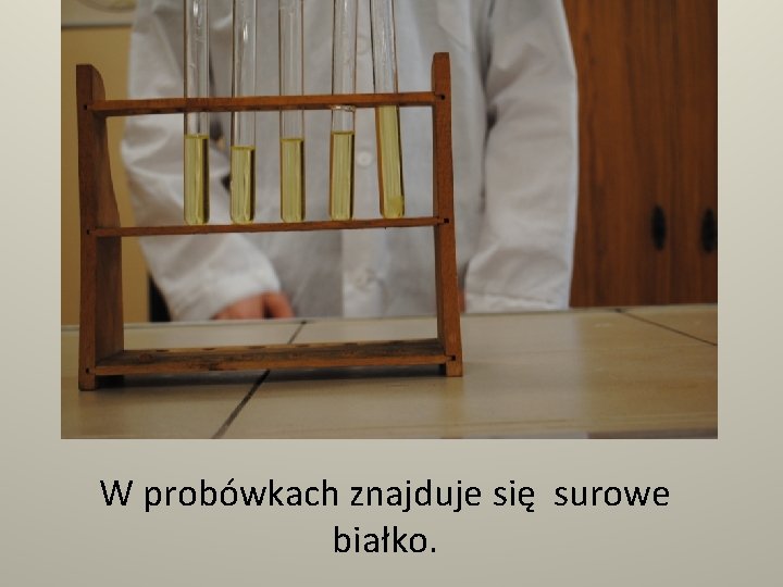 W probówkach znajduje się surowe białko. 