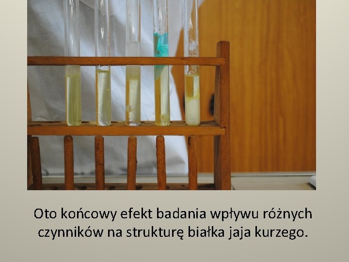 Oto końcowy efekt badania wpływu różnych czynników na strukturę białka jaja kurzego. 