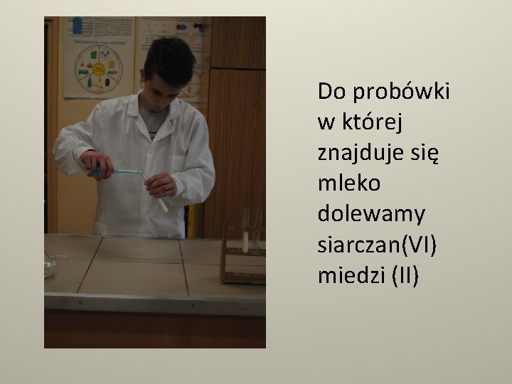 Do probówki w której znajduje się mleko dolewamy siarczan(VI) miedzi (II) 