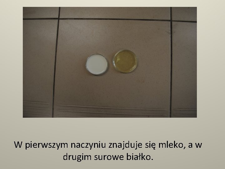 W pierwszym naczyniu znajduje się mleko, a w drugim surowe białko. 