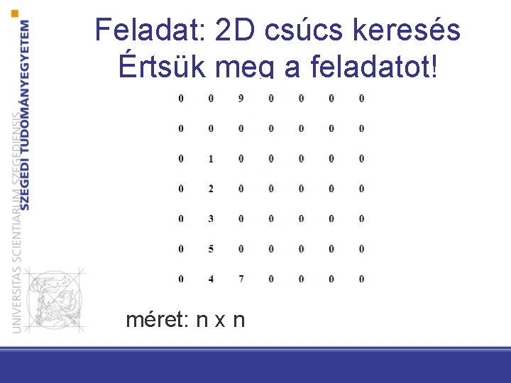 Feladat: 2 D csúcs keresés Értsük meg a feladatot! méret: n x n 