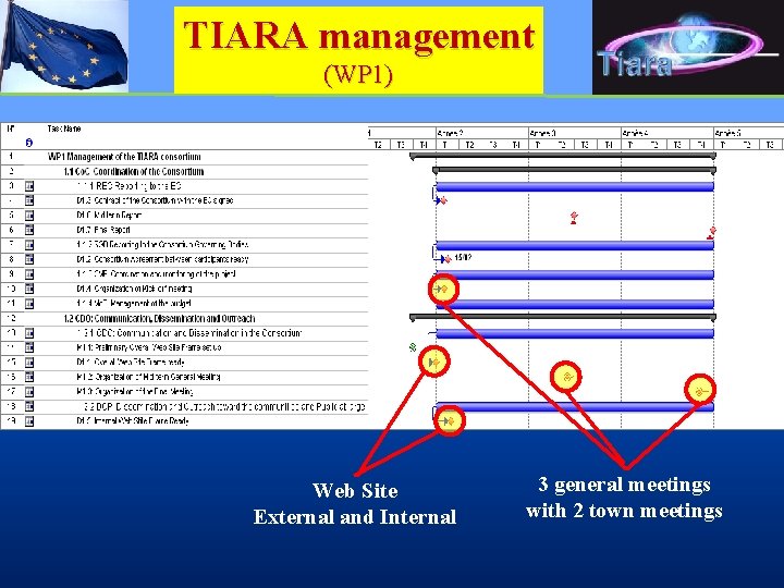 TIARA management (WP 1) Web Site External and Internal 3 general meetings with 2