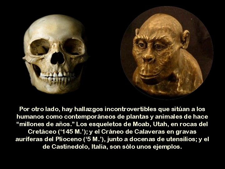 Por otro lado, hay hallazgos incontrovertibles que sitúan a los humanos como contemporáneos de